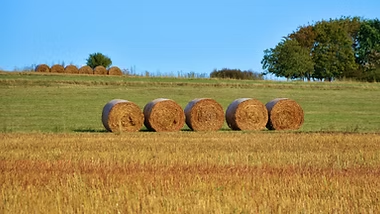 Farming operations — hay bales