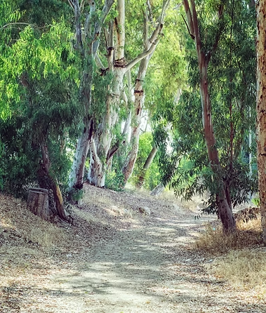Nature path — Frankware Resources land stewardship